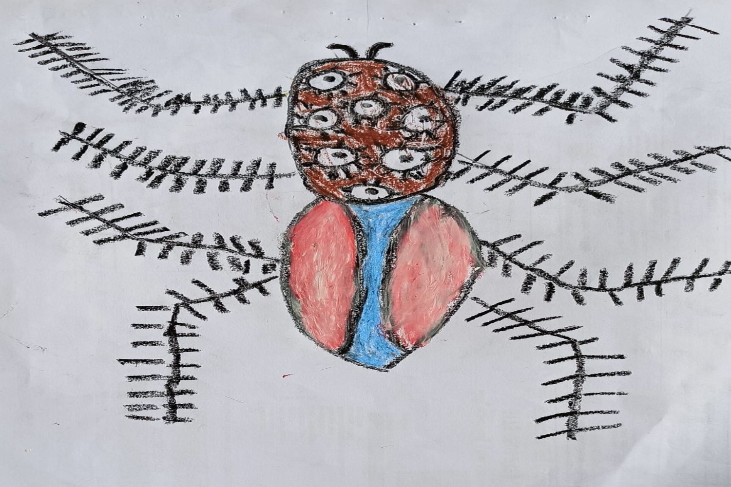 Drawing of a spider by a middle-school student
