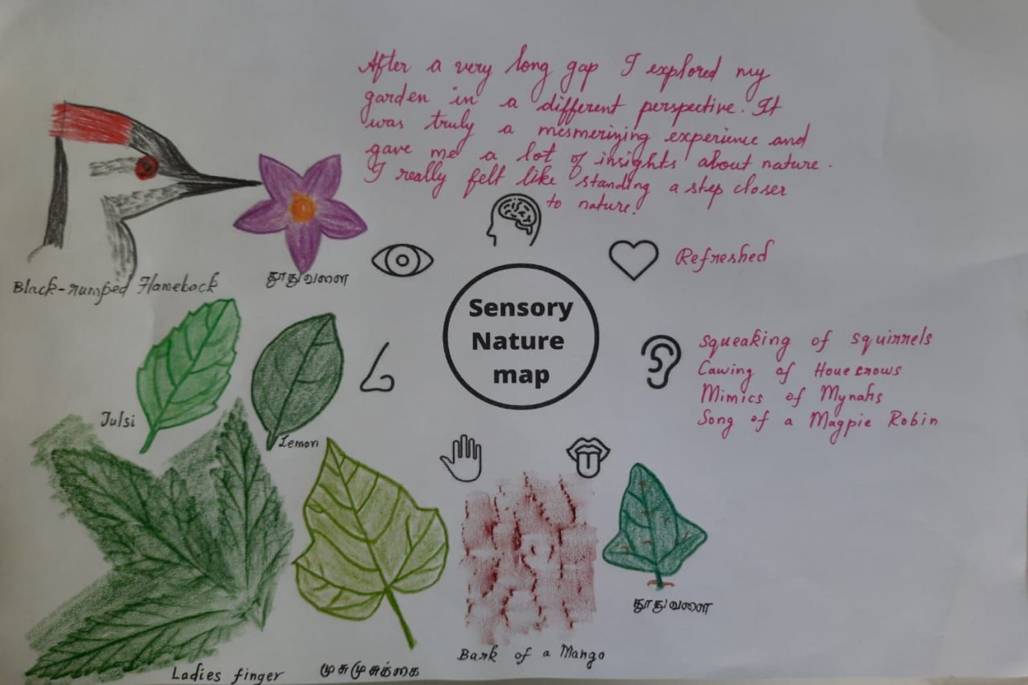 An example of a sensory nature map