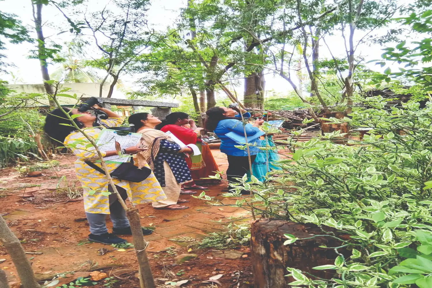 Nature Classrooms
