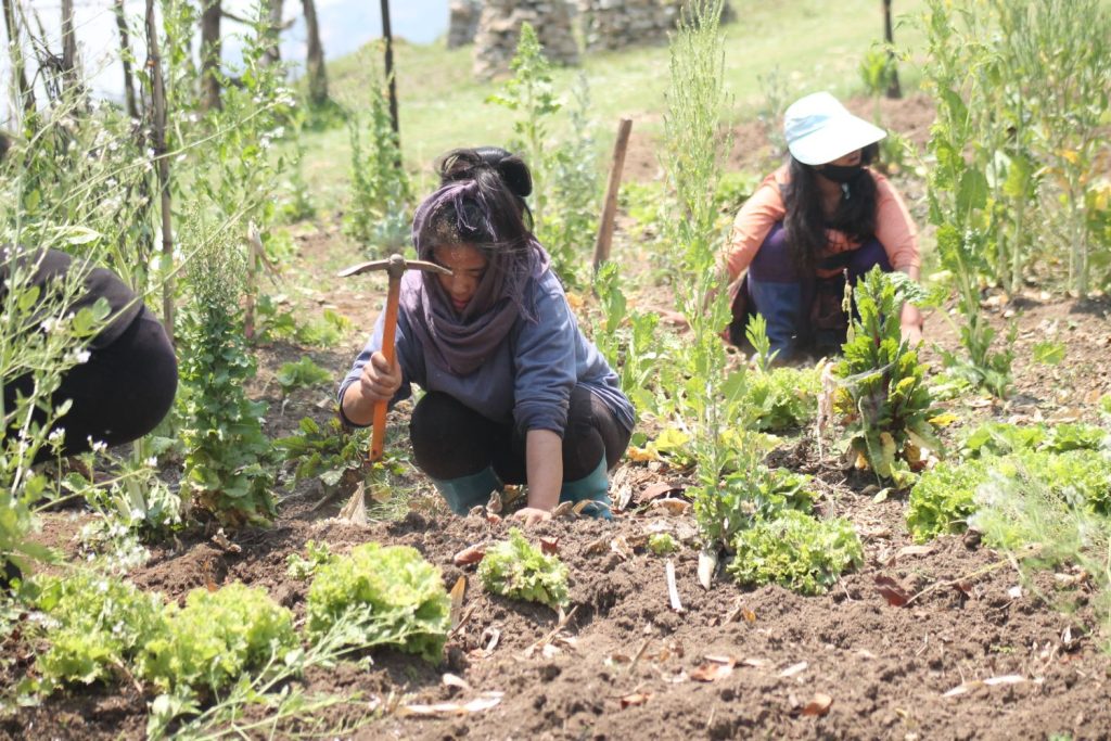 farming