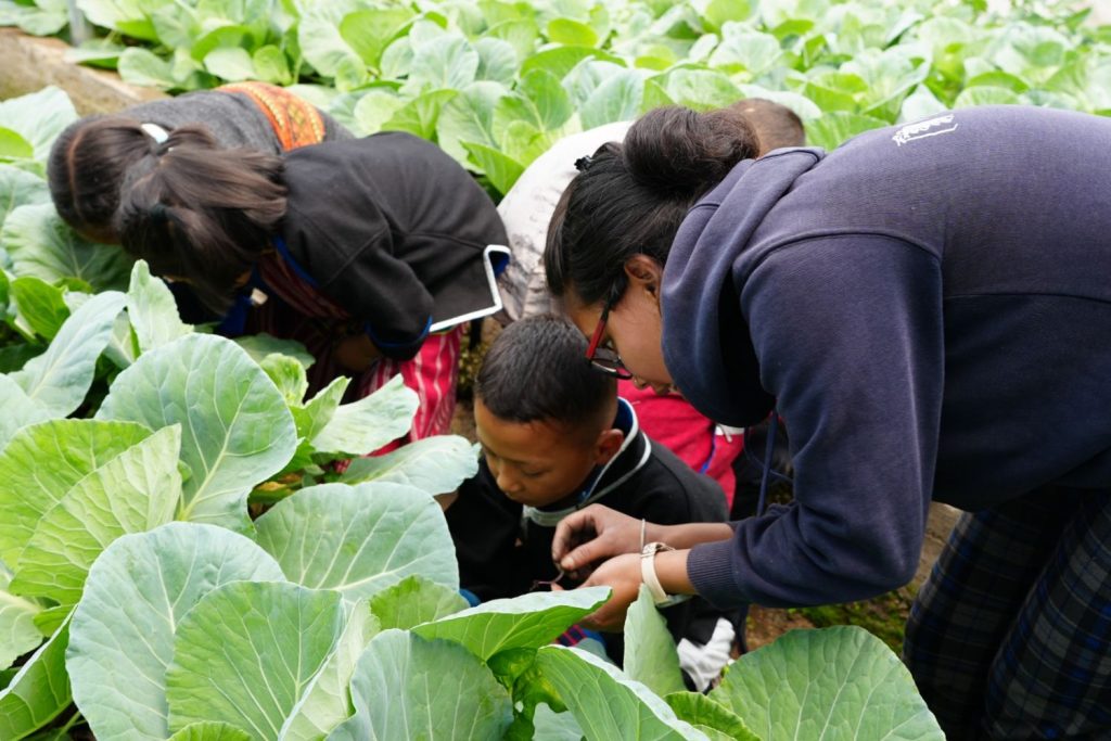 Older students teaching farming to younger ones