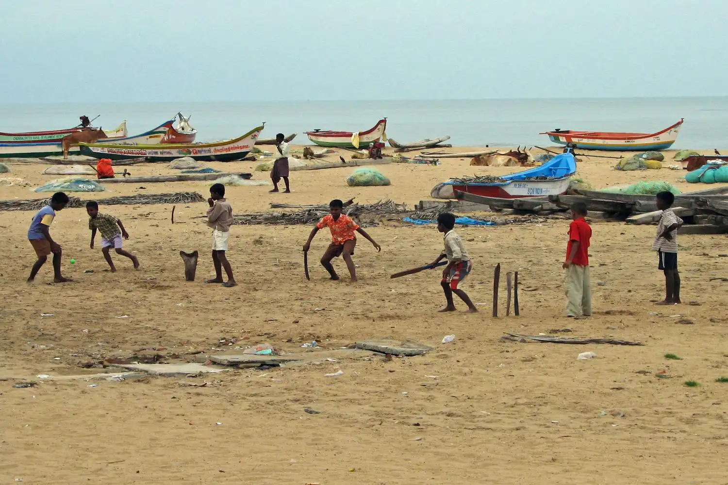 Beach Cricket