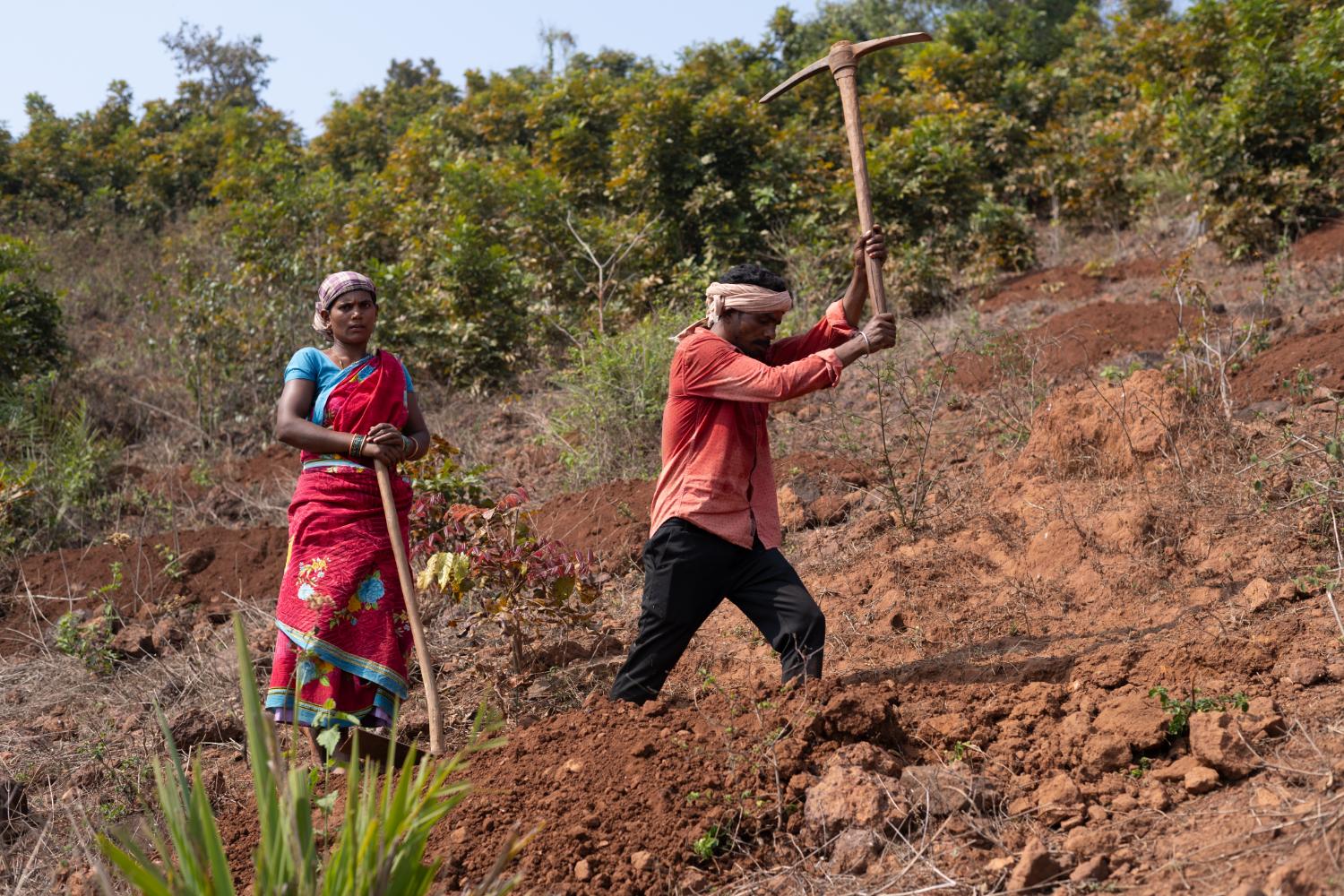 grassroots development NGOs