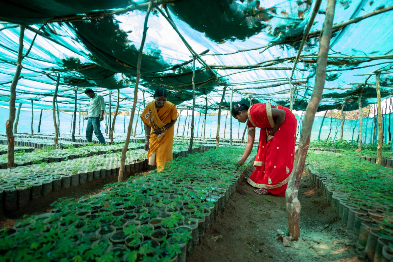 Farming