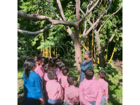 group of childrens