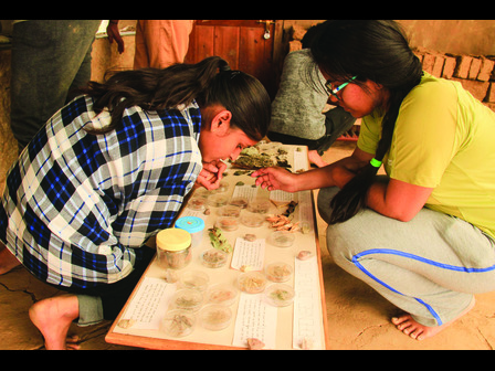 Participants observing museum specimens during a workshop