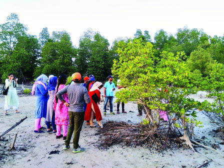 School teachers taking a walk
to observe mangroves