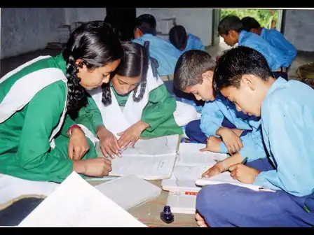 Foundational Practices in Environmental Education