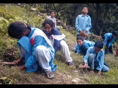 Foundational Practices in Environmental Education