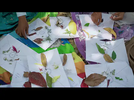 Learning through environment