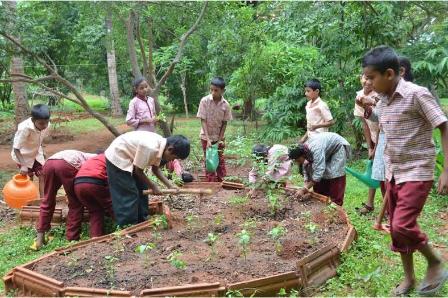 cultivating together