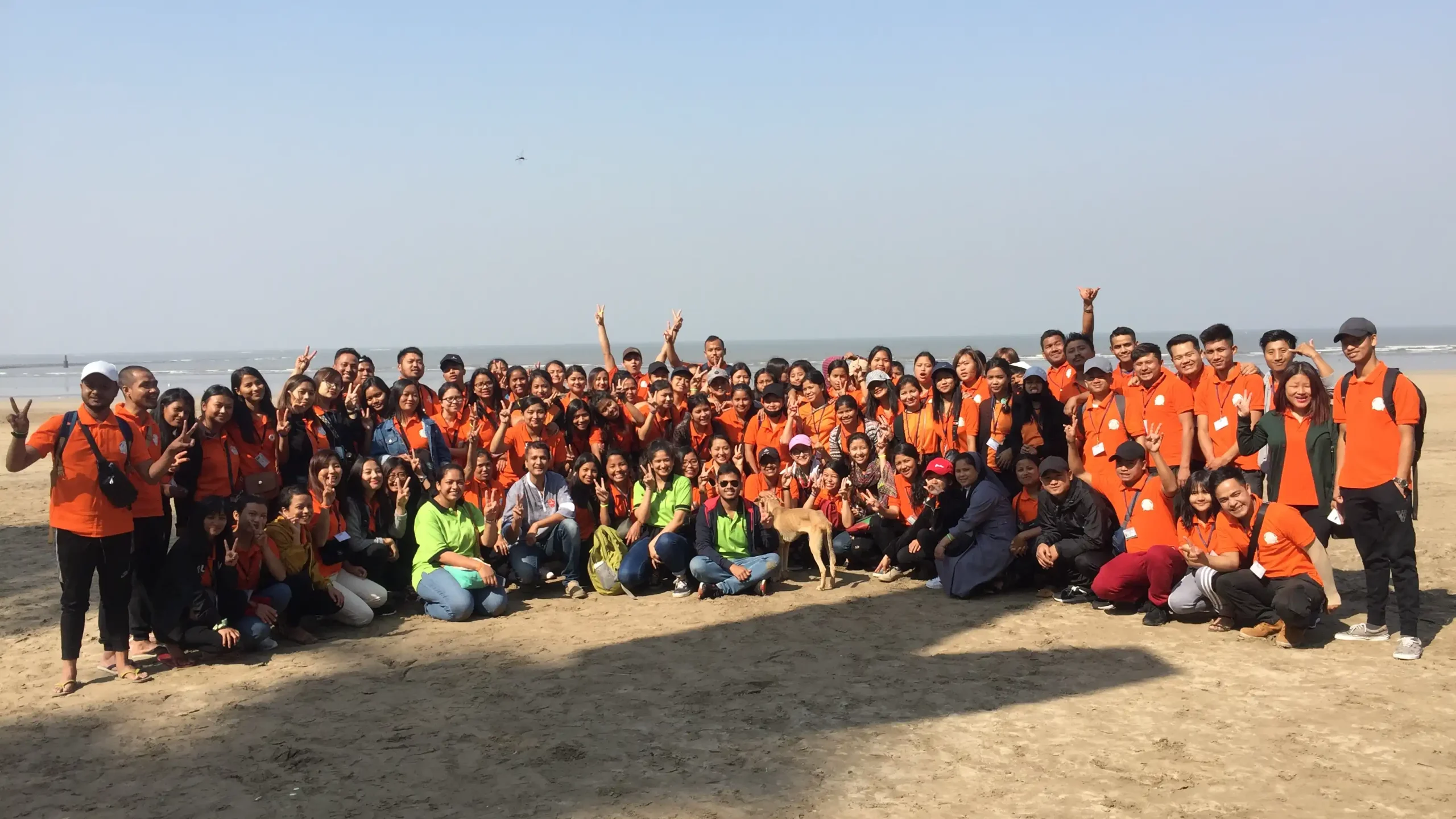 Beach-cleanup