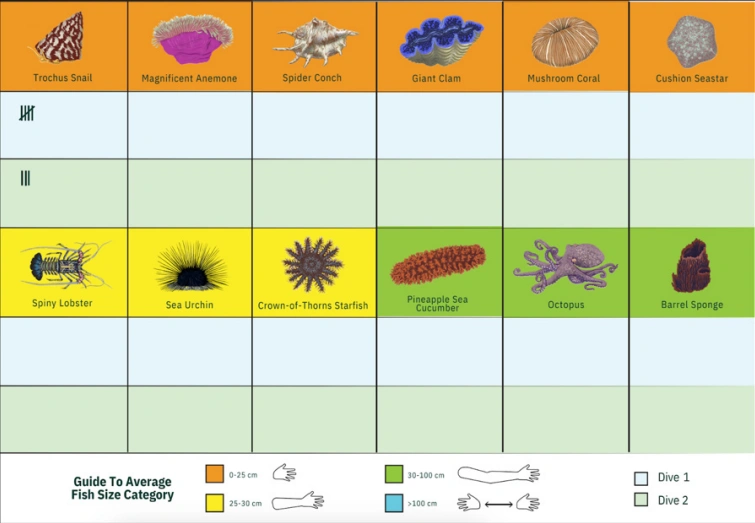ReefLog fish and invertebrate survey slates tailored for the Andaman Islands