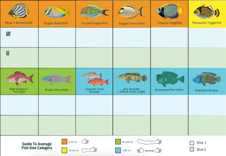 ReefLog fish and invertebrate survey slates tailored for the Andaman Islands